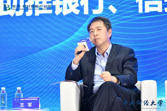 中原银行首席经济学家、中国国际经济交流中心学术委员会委员王军发言