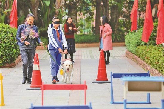 无障碍知识进学校，校园里迎来了导盲犬。