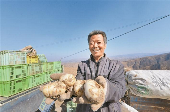 农户捧着刚采摘的个大又味美的百合喜笑颜开。