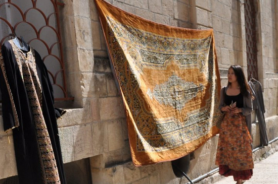 （陈茜在以色列和巴勒斯坦独自游学实习）