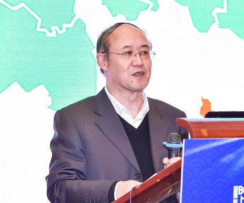 中国有色金属工业协会再生分会副会长 张希忠