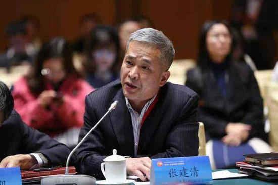 武汉大学中国中部发展研究院教授张建清发言