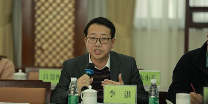 李湛:建立城市基础设施政策性金融机构 化解债