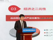 王立伟：农村公共服务是我国城镇融合发展的短板