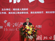 陈东升：湖北18家民企进入中国民企500强 是中部第一