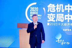 绿地集团董事长张玉良：中国的城市化要注重城市群的发展