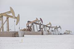 美国石油产量创纪录暴跌近40% 严寒冻结油井作业