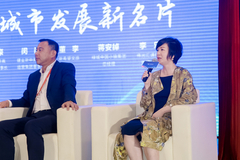 伟光汇通李乐：提炼地域文化打造小镇IP