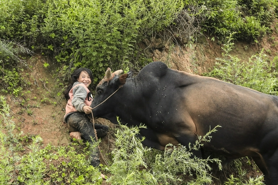 杨凯生摄影作品