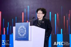 陈文玲：新形势下中国应该高举多边主义旗帜，在推动APEC进程当中发挥更加重要的作用