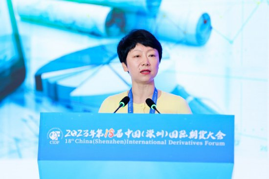 清华大学五道口金融学院副院长、讲席教授张晓燕