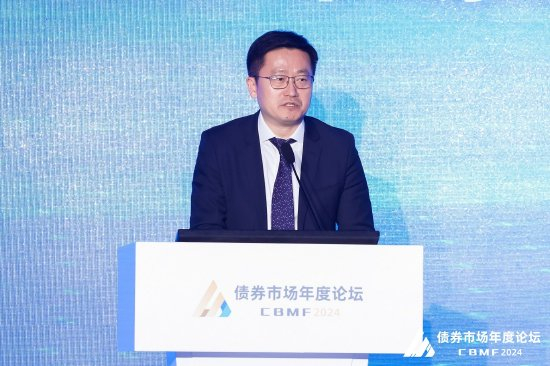 国家金融与发展实验室副主任、中国社会科学院金融研究所副所长张明