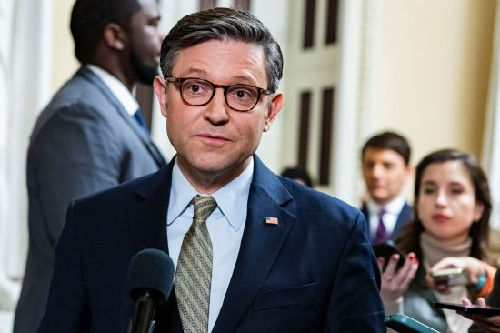 众议长迈克·约翰逊