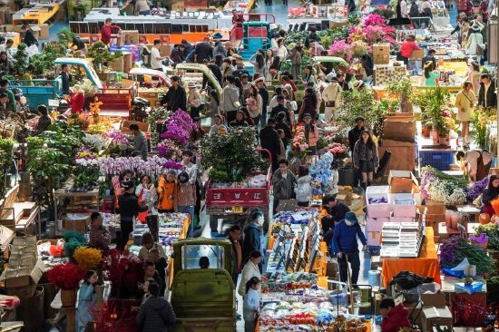 2月10日，人们在云南省昆明市斗南花卉市场内选购鲜花。新华社记者 彭奕凯 摄