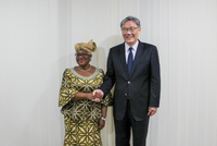 商务部部长王文涛会见世贸组织总干事伊维拉