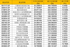 50亿以上基金产品半年度冠军：赵蓓管理的工银瑞信前沿医疗涨超32%居首(top20)