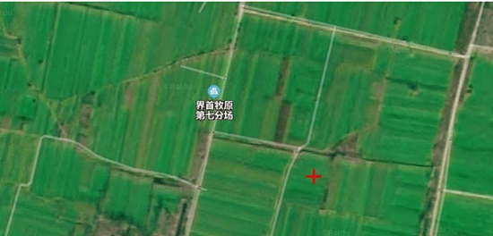 注：安徽界首牧原