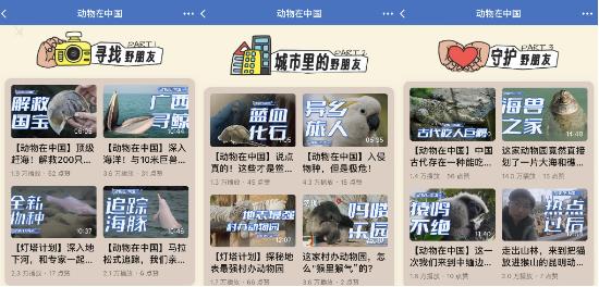 知乎上线动物保护日专题，“灯塔计划”资助中国野生动物科普