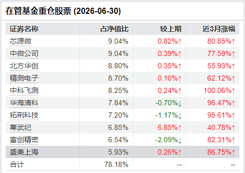 严凯二季报十大重仓股