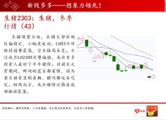 中天期货:玻璃空军轰炸持续暴跌 棕油持续性收敛整理