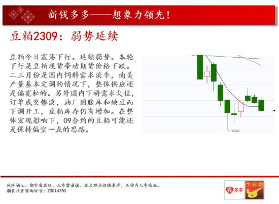 中天期货:棉花值得关注的品种 棕榈小幅回落但是反弹重心还在