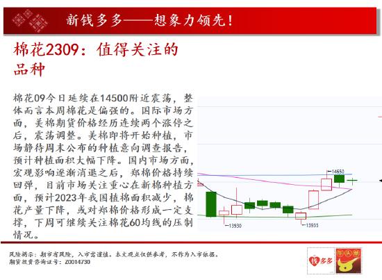 中天期货:棉花值得关注的品种 棕榈小幅回落但是反弹重心还在