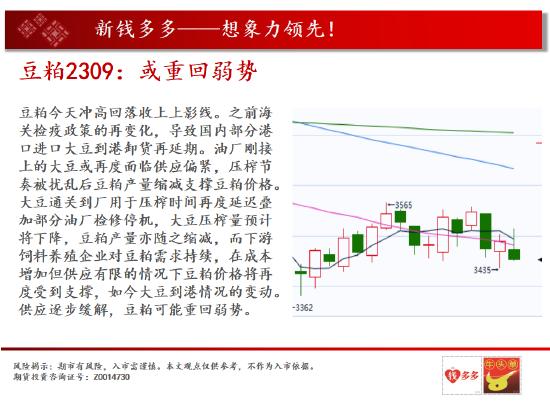 中天期货:棕榈要企稳啦吗 甲醛再创新低