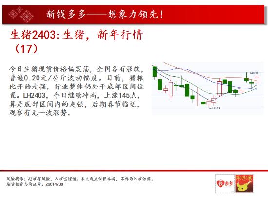 中天期货:白糖继续看反弹 橡胶止跌了吗