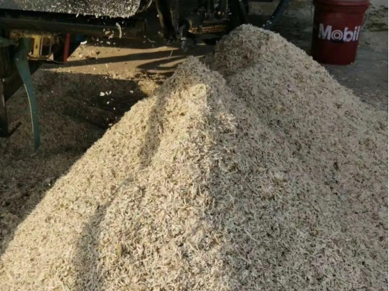 甜菜菜丝（前期调研图片）