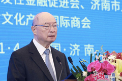 十二届全国政协副主席、中国开发性金融促进会会长陈元发言