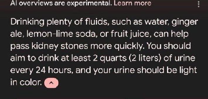 谷歌AI推荐用户喝尿以快速排出肾结石