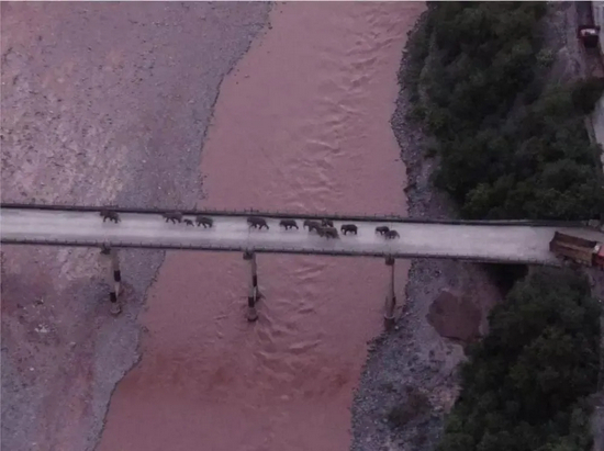 图片来源于网络