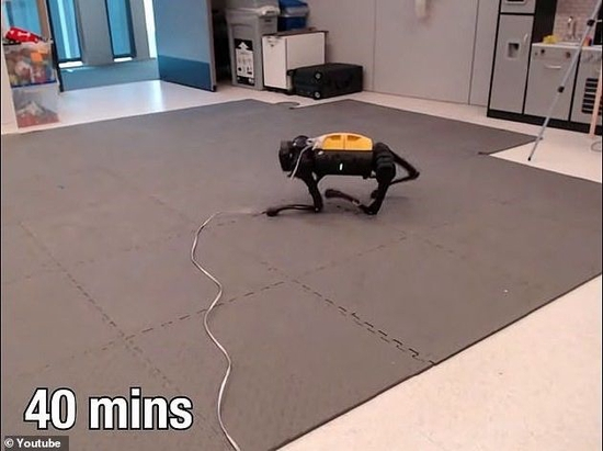 　　一位与该研究无关的科学家表示，强化学习将成为未来机器人操控的基础工具。上图是40分钟的机器人。