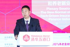 王磊：中国互联网保险快速发展 达到世界先进水平处于领先地位