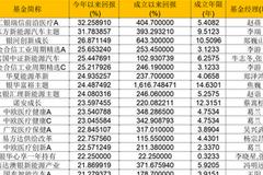 50亿以上偏股基金半年度业绩红榜：吴兴武管理的广发医疗保健回报22.85%