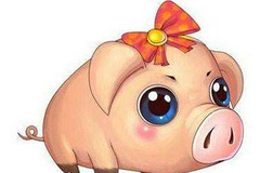 “生猪期货交割规则解读”系列一：生猪期货的前置管理