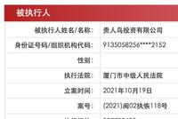 贵人鸟被恢复执行3亿元,被执行总额超5.6亿