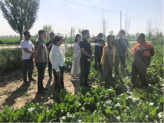田间地头调研
