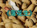 【中粮视点】花生：《落花生》