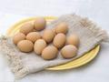 蛋鸡养殖跌破成本线 未来价格怎么走？