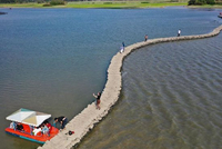 有友食品控股股东家族成员拟减持 业绩回暖背后的隐忧