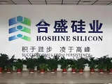 合盛硅业定增58亿背后：曾募资95亿逆势扩产半数产能闲置 在建工程超350亿重要项目批量停工