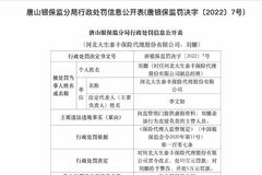 河北大生泰丰保险被罚10万元：向监管部门提供虚假资料