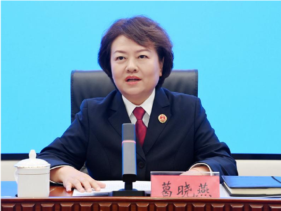 葛晓燕 最高人民检察院党组成员、副检察长