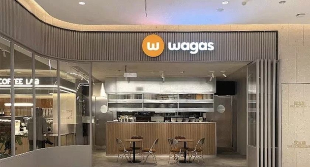 图片来源：Wagas公众号
