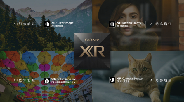 　XR芯片