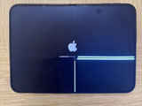 iPhone Duo开售不久即被曝内屏出现裂纹 苹果承认少量设备受影响