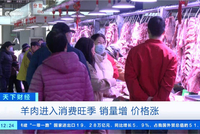 羊肉卖爆了 羊肉价格涨涨涨