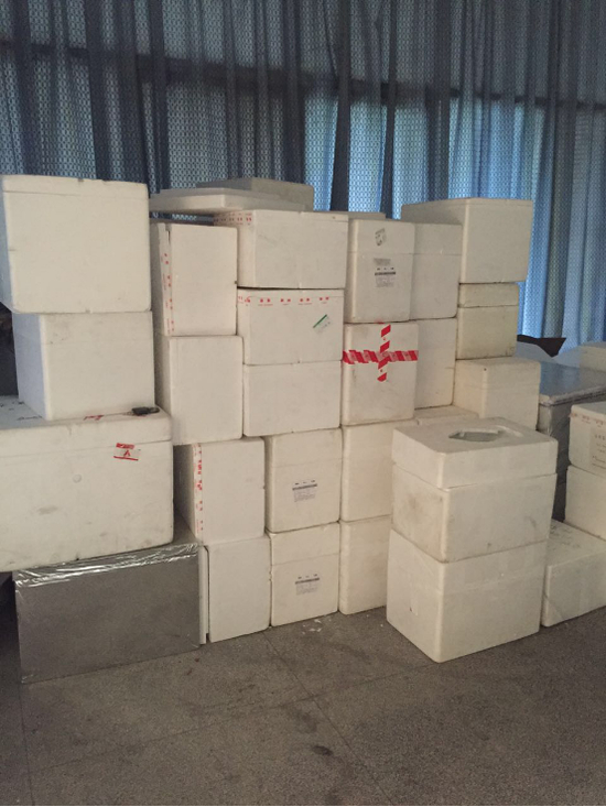 （图说：陕西医维达康一楼大厅内堆放的疫苗）