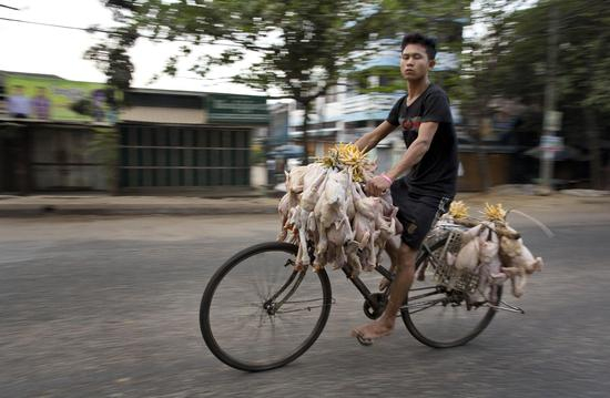 缅甸经济将开始提速